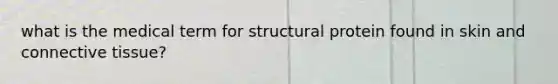 what is the medical term for structural protein found in skin and connective tissue?