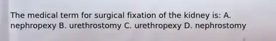 The medical term for surgical fixation of the kidney is: A. nephropexy B. urethrostomy C. urethropexy D. nephrostomy