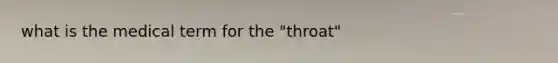 what is the medical term for the "throat"