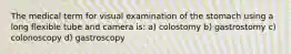 The medical term for visual examination of the stomach using a long flexible tube and camera is: a) colostomy b) gastrostomy c) colonoscopy d) gastroscopy