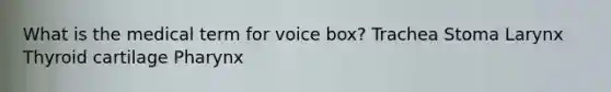 What is the medical term for voice box? Trachea Stoma Larynx Thyroid cartilage Pharynx