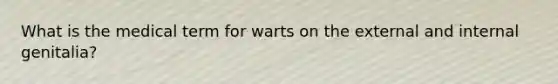 What is the medical term for warts on the external and internal genitalia?