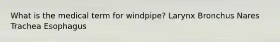 What is the medical term for windpipe? Larynx Bronchus Nares Trachea Esophagus