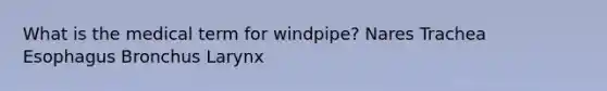 What is the medical term for windpipe? Nares Trachea Esophagus Bronchus Larynx