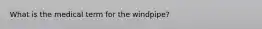 What is the medical term for the windpipe?