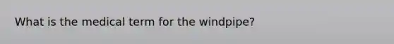 What is the medical term for the windpipe?