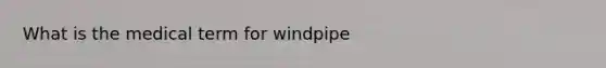 What is the medical term for windpipe