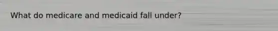 What do medicare and medicaid fall under?