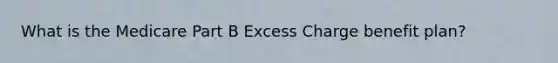 What is the Medicare Part B Excess Charge benefit plan?