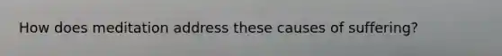 How does meditation address these causes of suffering?