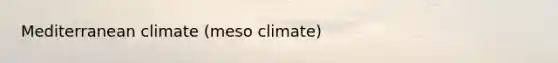 Mediterranean climate (meso climate)