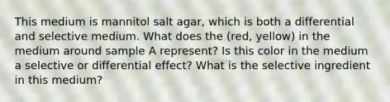 This medium is mannitol salt agar, which is both a differential and selective medium. What does the (red, yellow) in the medium around sample A represent? Is this color in the medium a selective or differential effect? What is the selective ingredient in this medium?