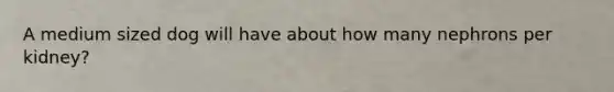 A medium sized dog will have about how many nephrons per kidney?