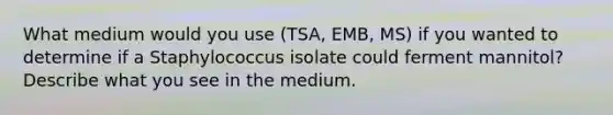 What medium would you use (TSA, EMB, MS) if you wanted to determine if a Staphylococcus isolate could ferment mannitol? Describe what you see in the medium.