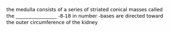 the medulla consists of a series of striated conical masses called the _________________ -8-18 in number -bases are directed toward the outer circumference of the kidney