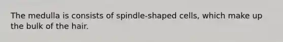 The medulla is consists of spindle-shaped cells, which make up the bulk of the hair.
