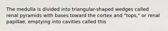 The medulla is divided into triangular-shaped wedges called renal pyramids with bases toward the cortex and "tops," or renal papillae, emptying into cavities called this