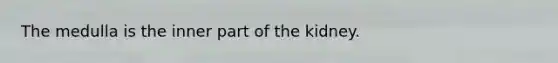 The medulla is the inner part of the kidney.
