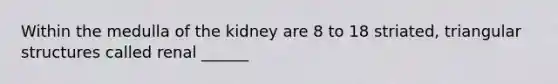 Within the medulla of the kidney are 8 to 18 striated, triangular structures called renal ______