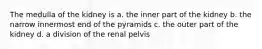 The medulla of the kidney is a. the inner part of the kidney b. the narrow innermost end of the pyramids c. the outer part of the kidney d. a division of the renal pelvis