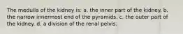 The medulla of the kidney is: a. the inner part of the kidney. b. the narrow innermost end of the pyramids. c. the outer part of the kidney. d. a division of the renal pelvis.