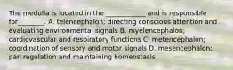 The medulla is located in the ____________ and is responsible for________. A. telencephalon; directing conscious attention and evaluating environmental signals B. myelencephalon; cardiovascular and respiratory functions C. metencephalon; coordination of sensory and motor signals D. mesencephalon; pan regulation and maintaining homeostasis