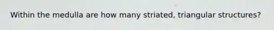 Within the medulla are how many striated, triangular structures?