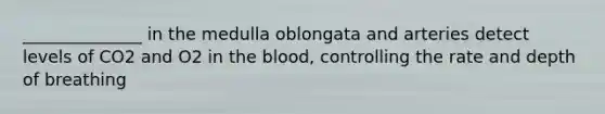 ______________ in the medulla oblongata and arteries detect levels of CO2 and O2 in the blood, controlling the rate and depth of breathing