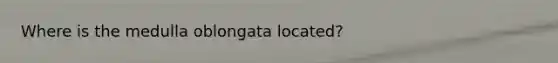 Where is the medulla oblongata located?