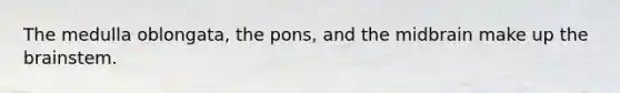 The medulla oblongata, the pons, and the midbrain make up the brainstem.