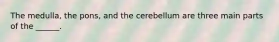 The medulla, the pons, and the cerebellum are three main parts of the ______.