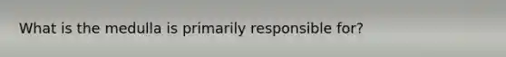 What is the medulla is primarily responsible for?