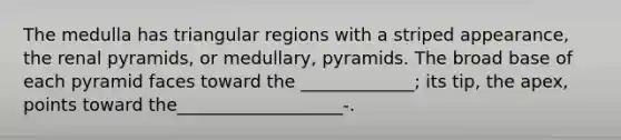 The medulla has triangular regions with a striped appearance, the renal pyramids, or medullary, pyramids. The broad base of each pyramid faces toward the _____________; its tip, the apex, points toward the___________________-.