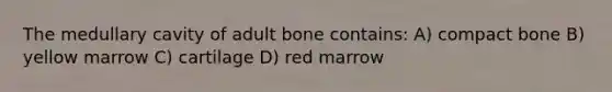 The medullary cavity of adult bone contains: A) compact bone B) yellow marrow C) cartilage D) red marrow