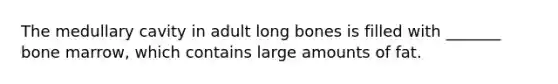 The medullary cavity in adult long bones is filled with _______ bone marrow, which contains large amounts of fat.