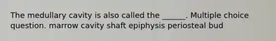 The medullary cavity is also called the ______. Multiple choice question. marrow cavity shaft epiphysis periosteal bud