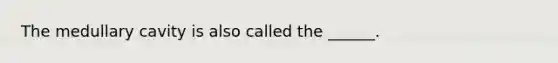 The medullary cavity is also called the ______.