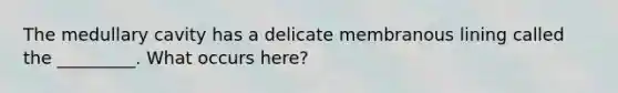 The medullary cavity has a delicate membranous lining called the _________. What occurs here?