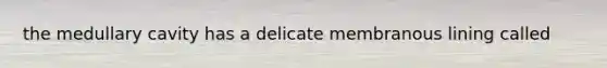 the medullary cavity has a delicate membranous lining called