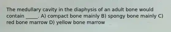 The medullary cavity in the diaphysis of an adult bone would contain _____. A) compact bone mainly B) spongy bone mainly C) red bone marrow D) yellow bone marrow