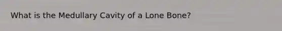 What is the Medullary Cavity of a Lone Bone?