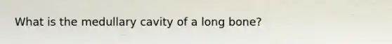 What is the medullary cavity of a long bone?