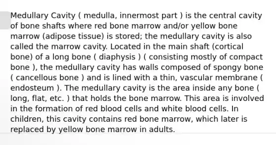 Medullary Cavity ( medulla, innermost part ) is the central cavity of bone shafts where red bone marrow and/or yellow bone marrow (adipose tissue) is stored; the medullary cavity is also called the marrow cavity. Located in the main shaft (cortical bone) of a long bone ( diaphysis ) ( consisting mostly of compact bone ), the medullary cavity has walls composed of spongy bone ( cancellous bone ) and is lined with a thin, vascular membrane ( endosteum ). The medullary cavity is the area inside any bone ( long, flat, etc. ) that holds the bone marrow. This area is involved in the formation of red blood cells and white blood cells. In children, this cavity contains red bone marrow, which later is replaced by yellow bone marrow in adults.