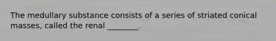 The medullary substance consists of a series of striated conical masses, called the renal ________.