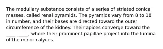 The medullary substance consists of a series of striated conical masses, called renal pyramids. The pyramids vary from 8 to 18 in number, and their bases are directed toward the outer circumference of the kidney. Their apices converge toward the ____ _____, where their prominent papillae project into the lumina of the minor calyces.