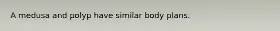 A medusa and polyp have similar body plans.
