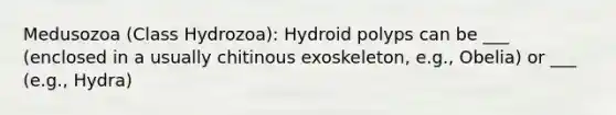 Medusozoa (Class Hydrozoa): Hydroid polyps can be ___ (enclosed in a usually chitinous exoskeleton, e.g., Obelia) or ___ (e.g., Hydra)