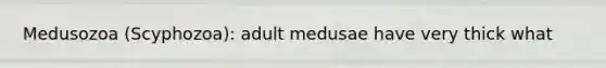 Medusozoa (Scyphozoa): adult medusae have very thick what