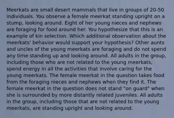 Meerkats are small desert mammals that live in groups of 20-50 individuals. You observe a female meerkat standing upright on a stump, looking around. Eight of her young nieces and nephews are foraging for food around her. You hypothesize that this is an example of kin selection. Which additional observation about the meerkats' behavior would support your hypothesis? Other aunts and uncles of the young meerkats are foraging and do not spend any time standing up and looking around. All adults in the group, including those who are not related to the young meerkats, spend energy in all the activities that involve caring for the young meerkats. The female meerkat in the question takes food from the foraging nieces and nephews when they find it. The female meerkat in the question does not stand "on guard" when she is surrounded by more distantly related juveniles. All adults in the group, including those that are not related to the young meerkats, are standing upright and looking around.