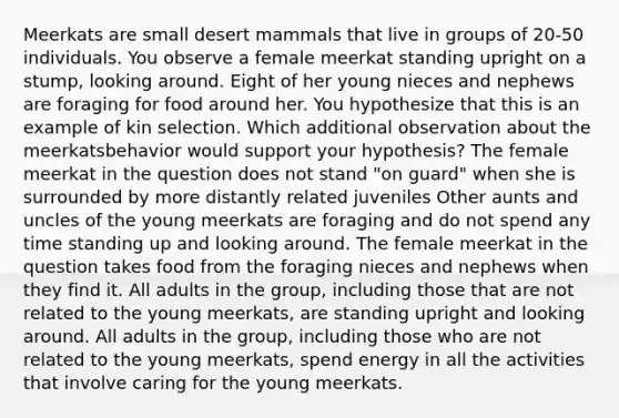 Meerkats are small desert mammals that live in groups of 20-50 individuals. You observe a female meerkat standing upright on a stump, looking around. Eight of her young nieces and nephews are foraging for food around her. You hypothesize that this is an example of kin selection. Which additional observation about the meerkatsbehavior would support your hypothesis? The female meerkat in the question does not stand "on guard" when she is surrounded by more distantly related juveniles Other aunts and uncles of the young meerkats are foraging and do not spend any time standing up and looking around. The female meerkat in the question takes food from the foraging nieces and nephews when they find it. All adults in the group, including those that are not related to the young meerkats, are standing upright and looking around. All adults in the group, including those who are not related to the young meerkats, spend energy in all the activities that involve caring for the young meerkats.